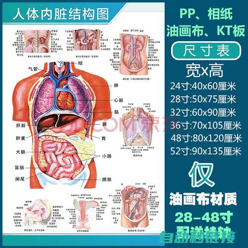 各部分功能剖析 (各部分功能剖析)